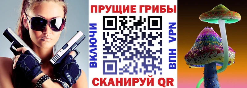 Купить где Ростов-на-Дону Галлюциногенные грибы MAGIC MUSHROOMS